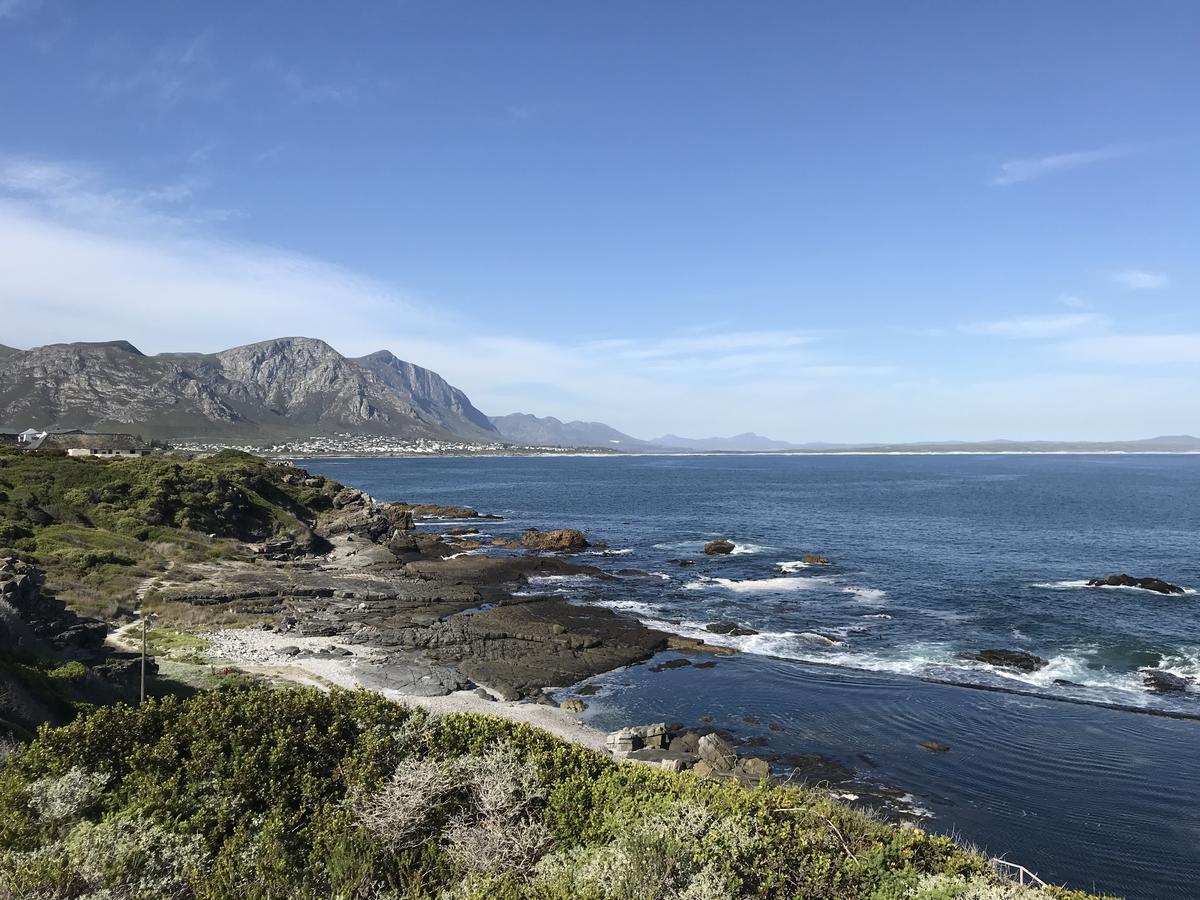 Francolin Manor Bed & Breakfast Hermanus Bagian luar foto