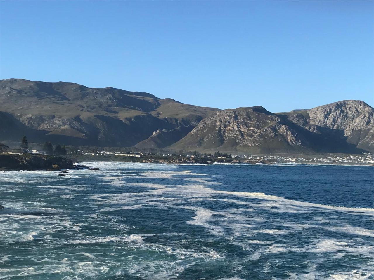 Francolin Manor Bed & Breakfast Hermanus Bagian luar foto