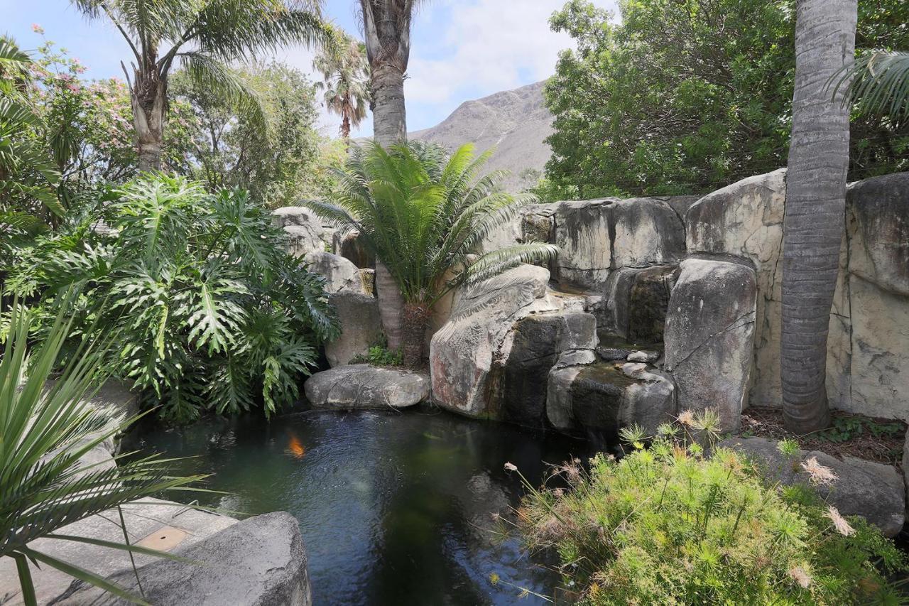 Francolin Manor Bed & Breakfast Hermanus Bagian luar foto
