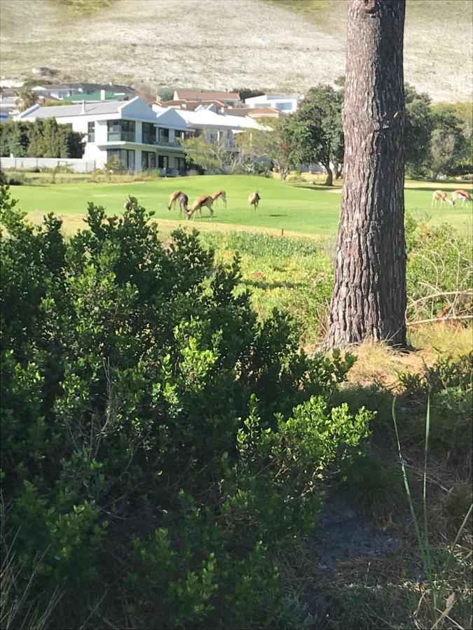 Francolin Manor Bed & Breakfast Hermanus Bagian luar foto