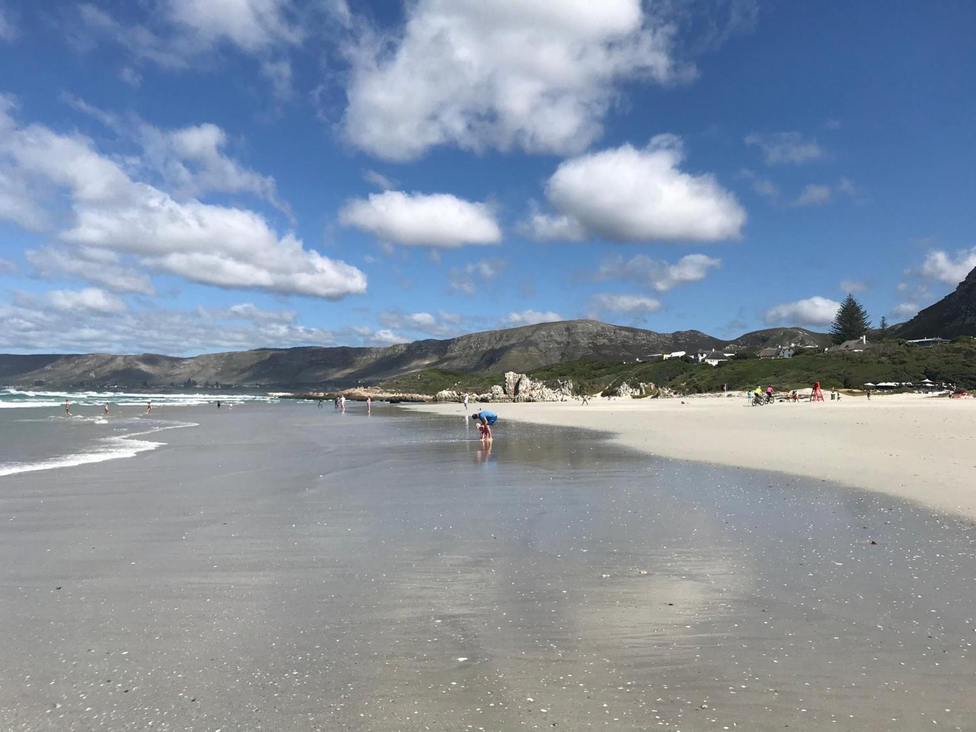 Francolin Manor Bed & Breakfast Hermanus Bagian luar foto
