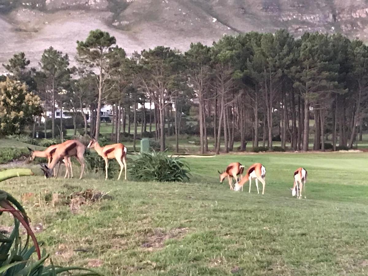 Francolin Manor Bed & Breakfast Hermanus Bagian luar foto